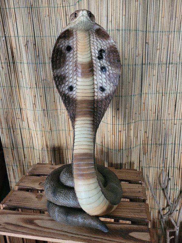 Kobra